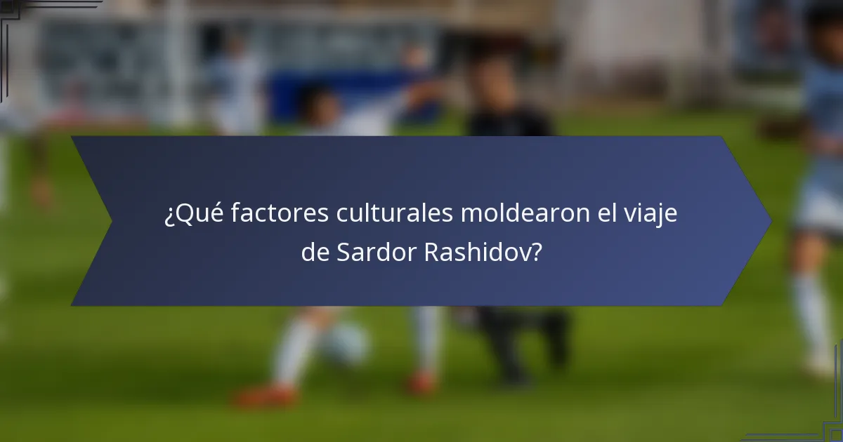 ¿Qué factores culturales moldearon el viaje de Sardor Rashidov?